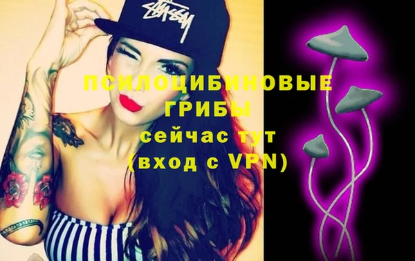 spice Сосновый Бор