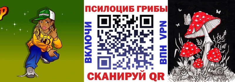 Галлюциногенные грибы Psilocybe  omg как зайти  Щёлково 